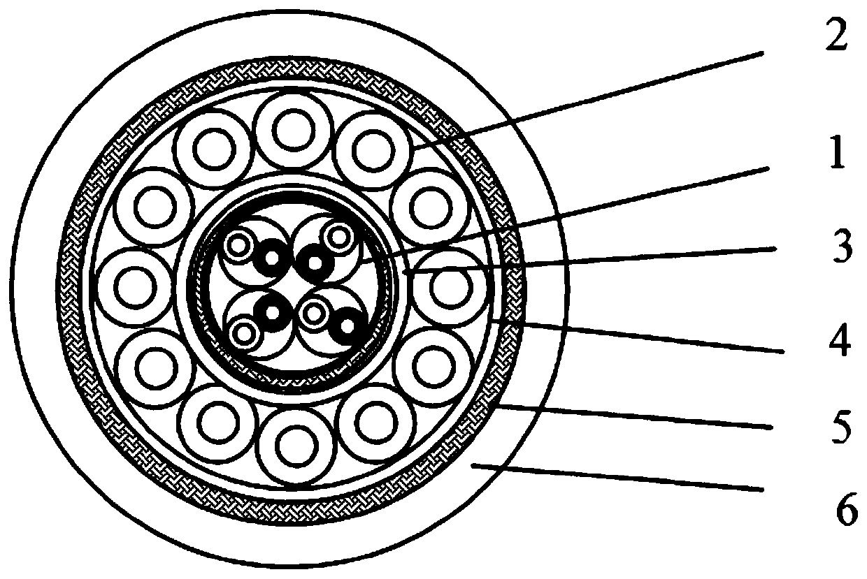 Radiation-resistant network control composite cable for video monitoring