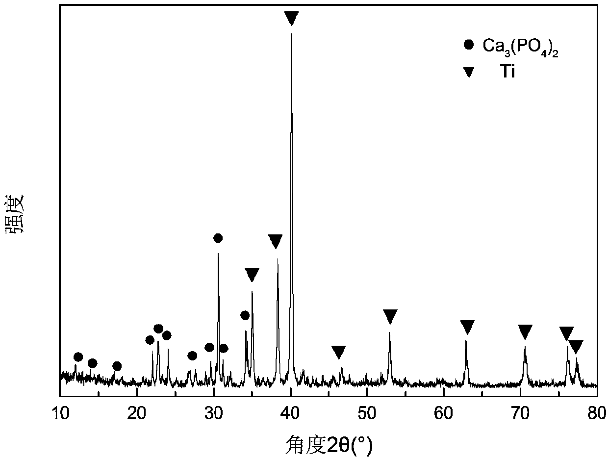 Titanium/tricalcium phosphate/titanium mesh composite material for bone implantation material, and preparation method thereof