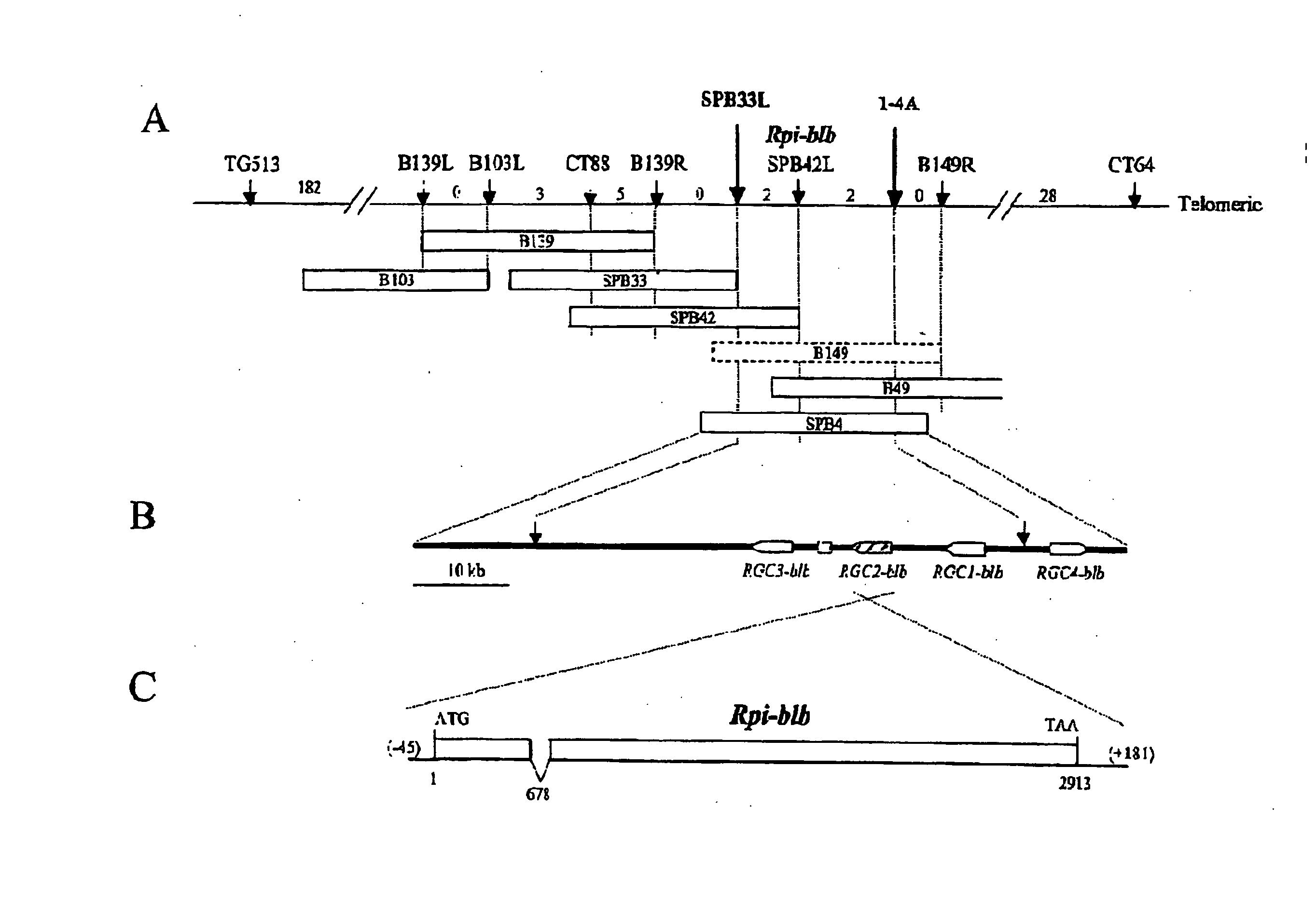 Isolated nucleic acids encoding resistance polypeptides and uses thereof