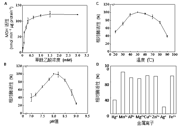 Application of gene GmMDH12 in promotion of nodulation and nitrogen fixation capacity of soybeans