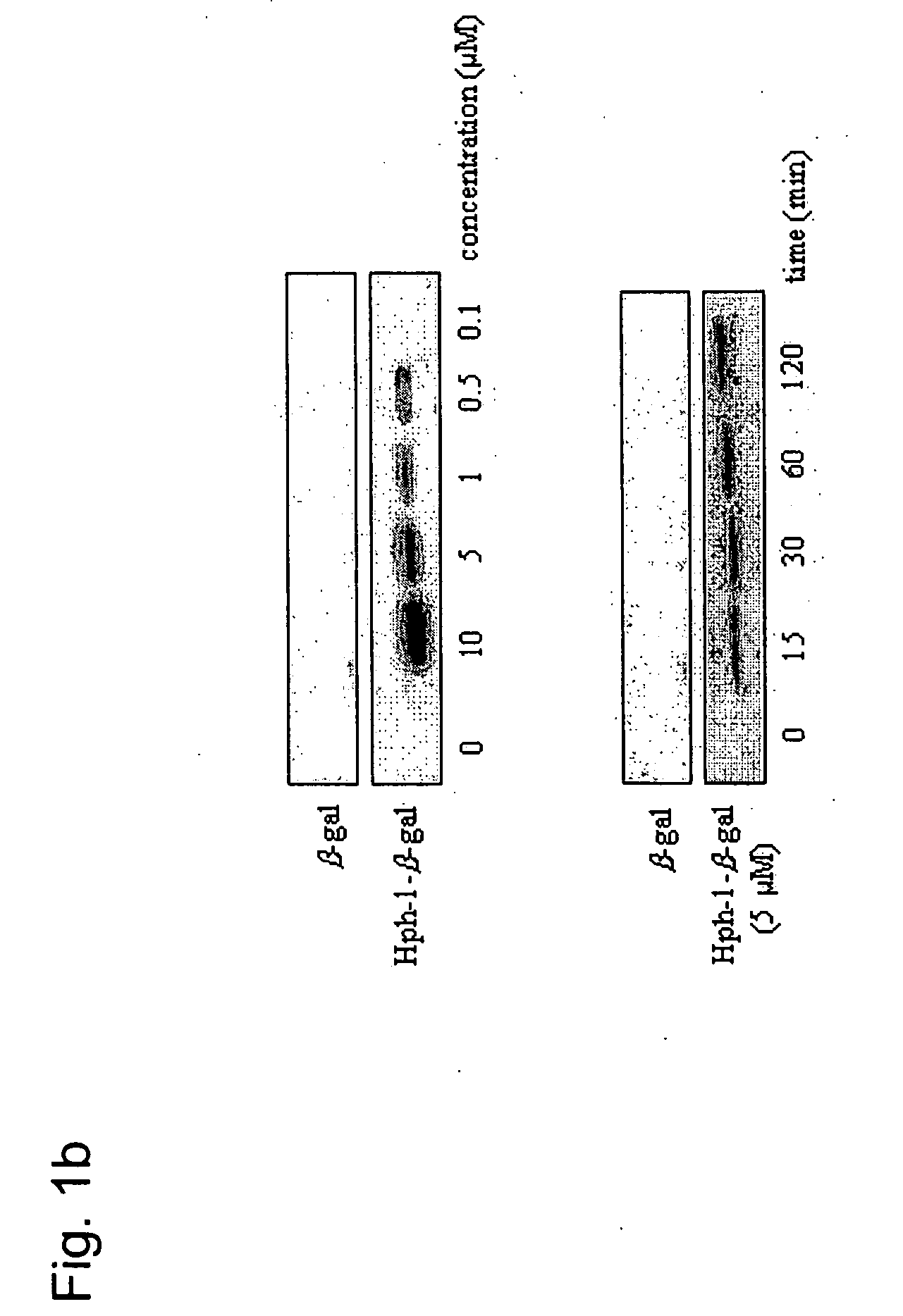 Methods for fusion polypeptide delivery into a cell