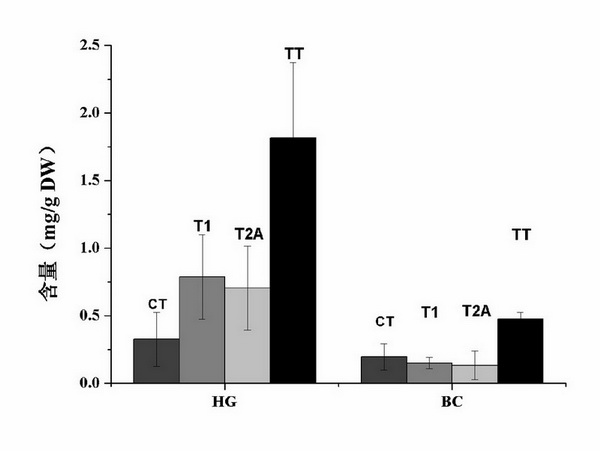 Method for increasing tanshinone content of salvia miltiorrhiza hairy roots by transferring SmGGPPS gene