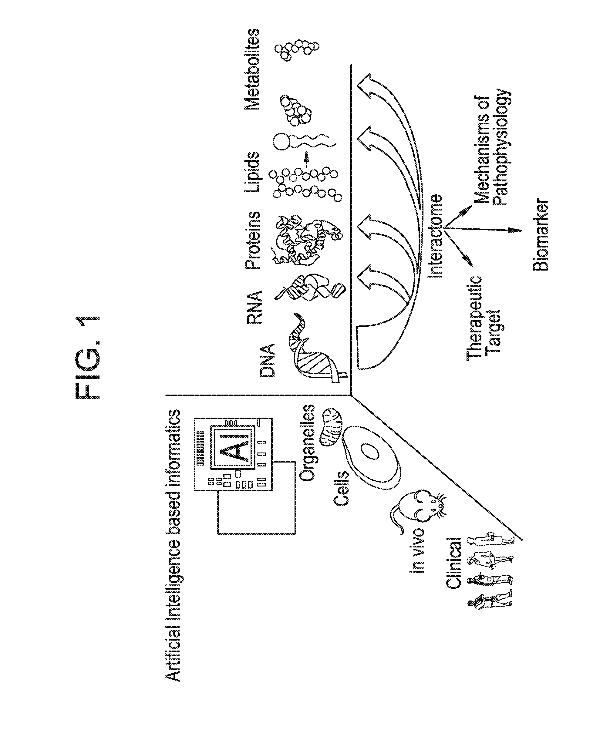 Use of markers in the diagnosis and treatment of prostate cancer