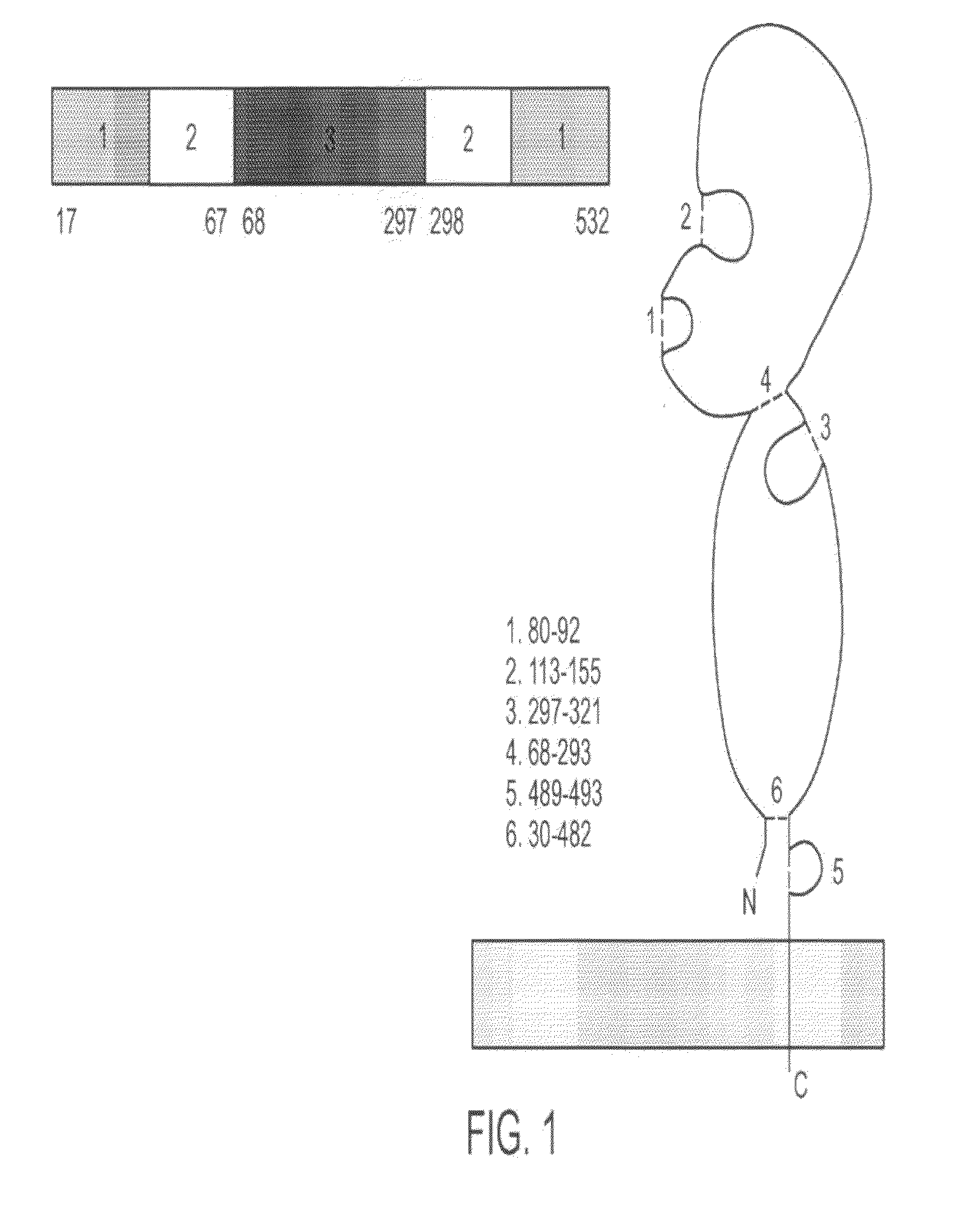 Prophylactic and therapeutic influenza vaccines, antigens, compositions and methods