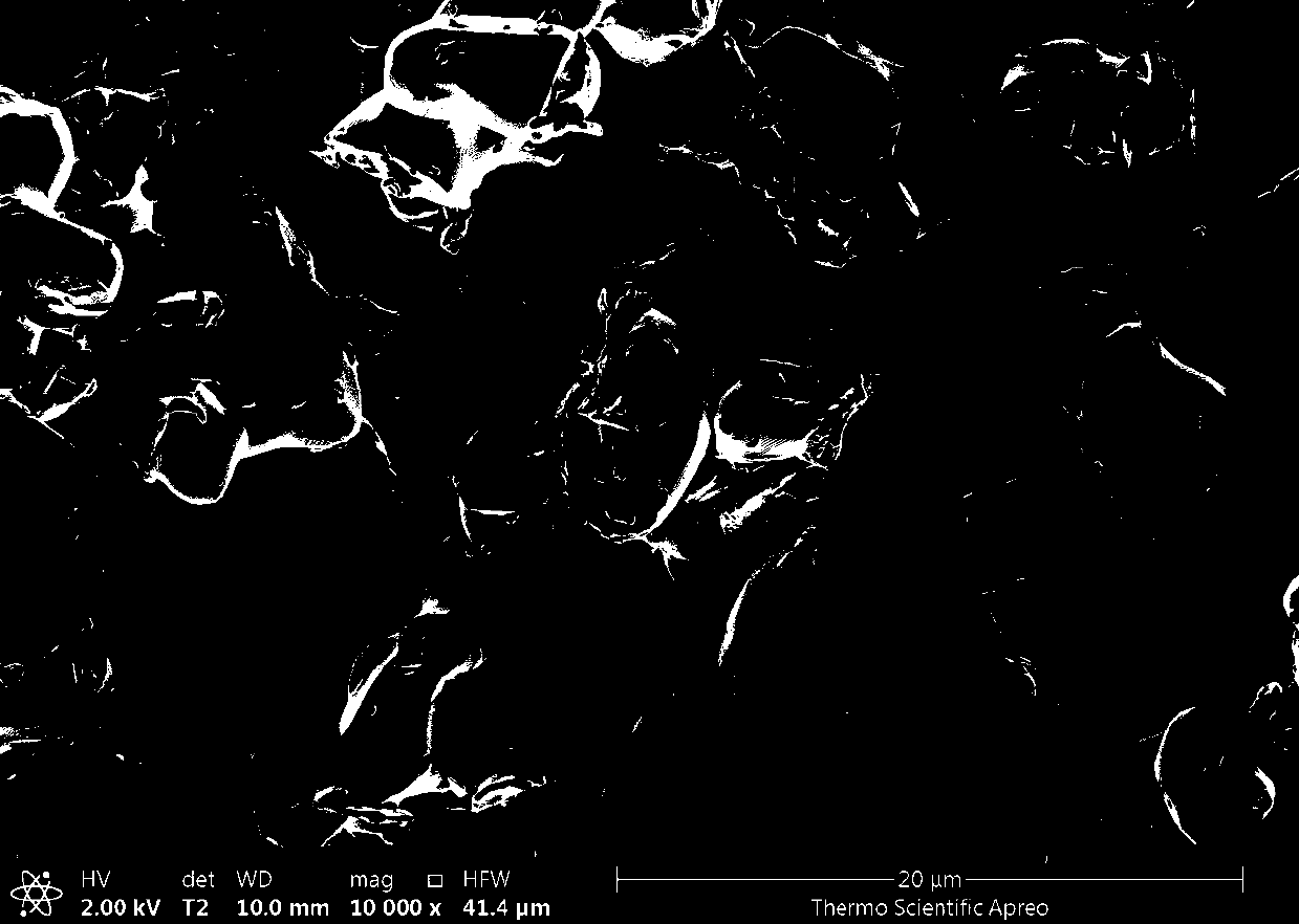 Preparation method of coralline high-purity tantalum powder