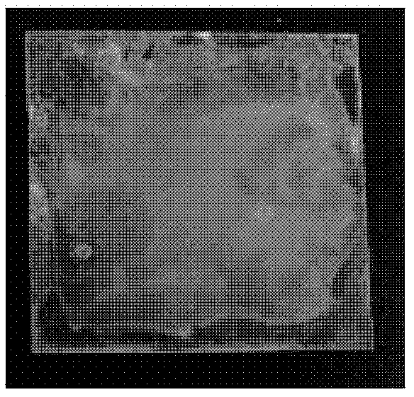 Moisturizing and moistureproof composition and application thereof and moisturizing and moistureproof method