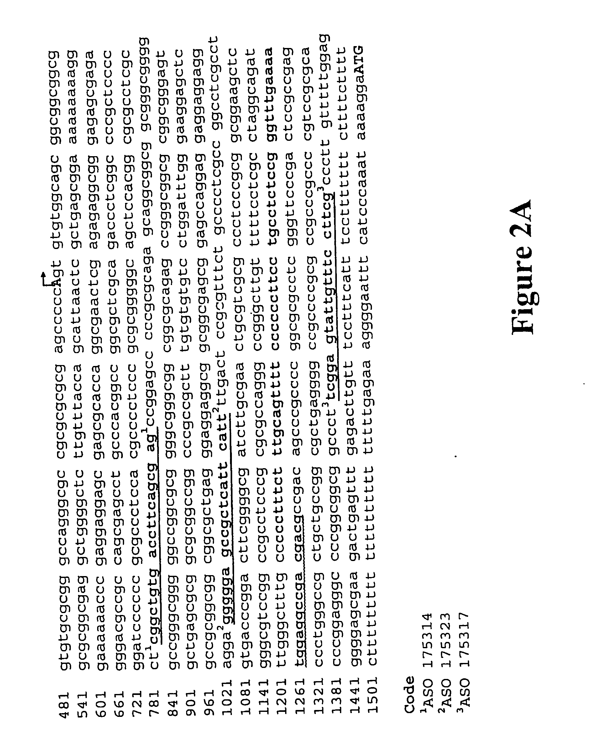 Modulation of insulin like growth factor i receptor expression