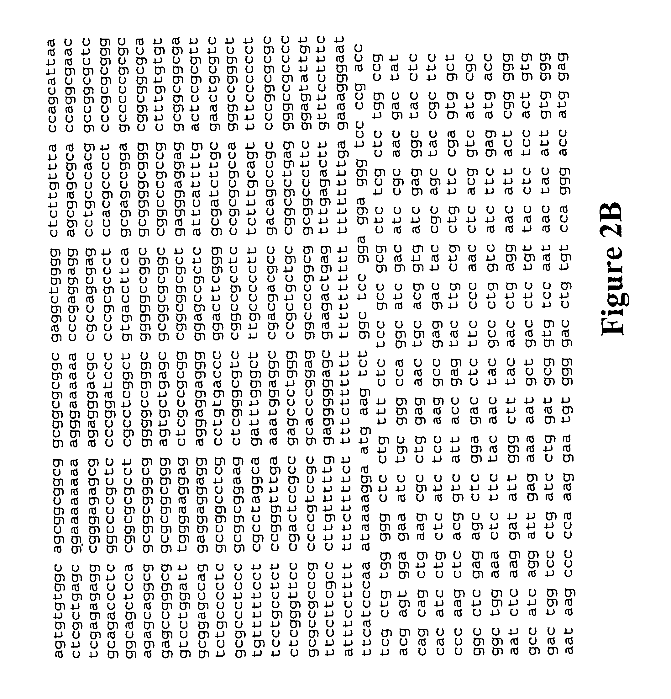 Modulation of insulin like growth factor i receptor expression