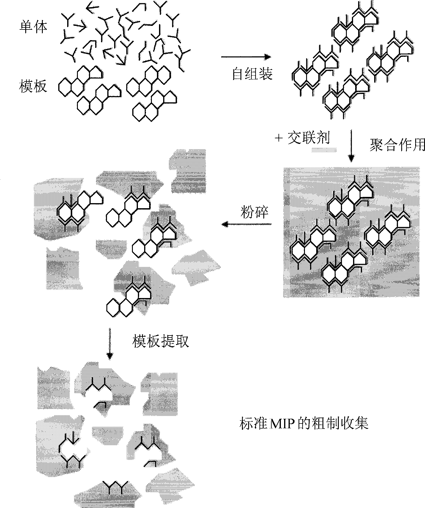 Improved preparation of molecular imprinted polymers