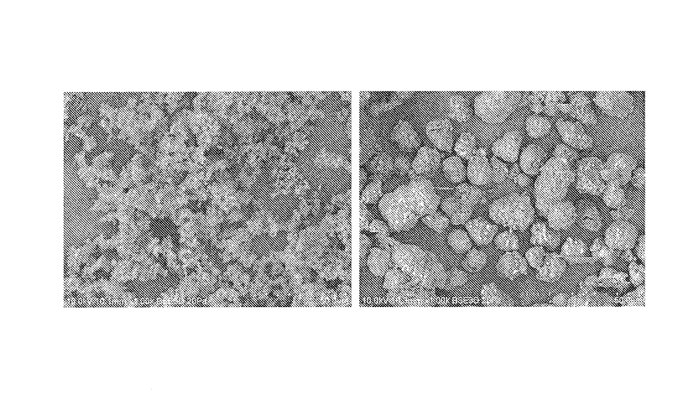 Compositions of substantially spherical particles and methods of making thereof