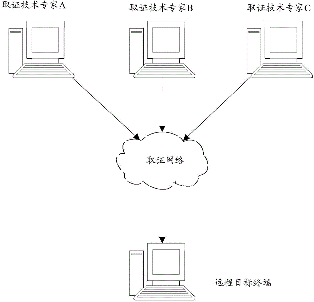 Method and system for achieving synergic forensic analysis on remote forensic target terminal