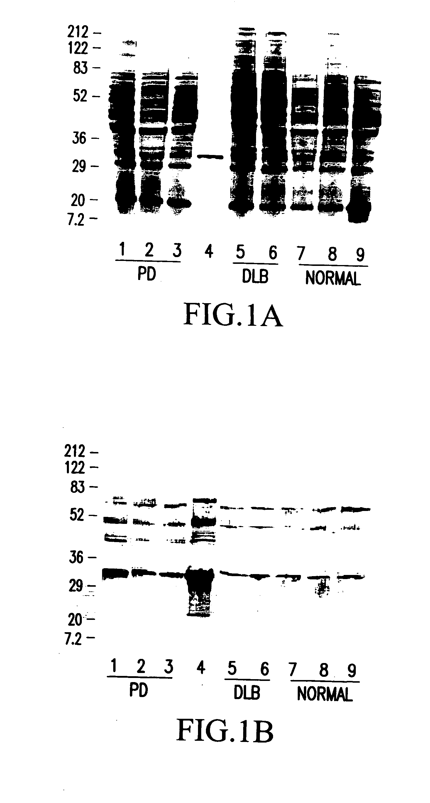 Methods for detecting oxidative stress