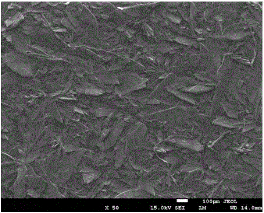 Degradable magnesium-based bone implant drug-loaded high molecular/calcium-phosphorus composite coating and preparation method