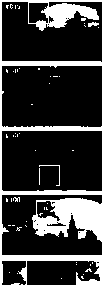 Long-time target tracking method and system based on layered convolution feature