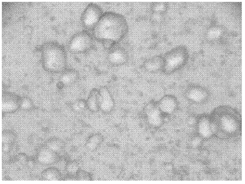 Method for preparing high-quality fine granules of energy-containing crystal material