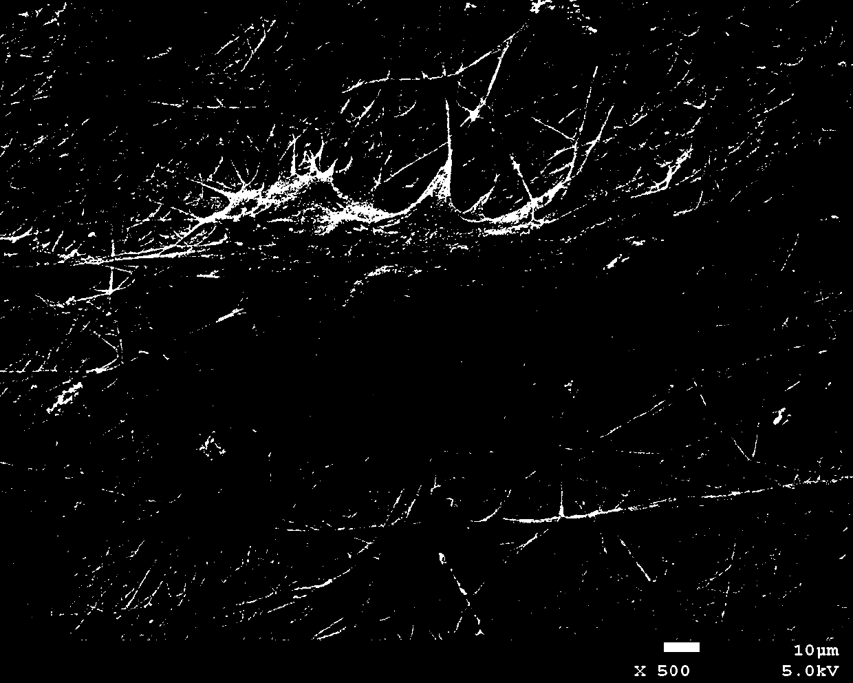 In-situ-crossly-linked electrospun fibrous membrane dressing made from collangen I and preparation method of in-situ crosslinking electrospun fibrous membrane dressing