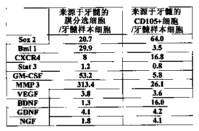 Membrane-separation-type culture device, membrane-separation-type culture kit, stem cell separation method using same, and separation membrane