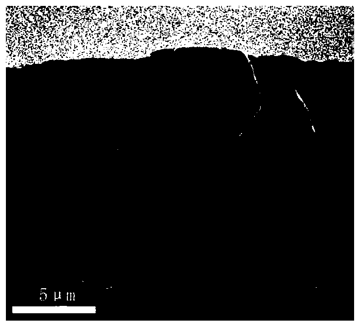 Preparation method of NiMnGaCoCu memory alloy thin strip