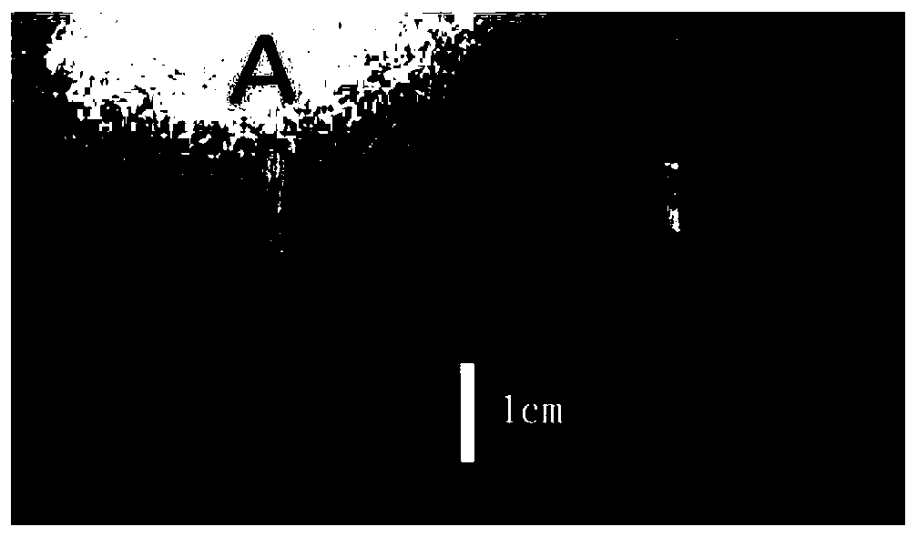 Preparation method of NiMnGaCoCu memory alloy thin strip