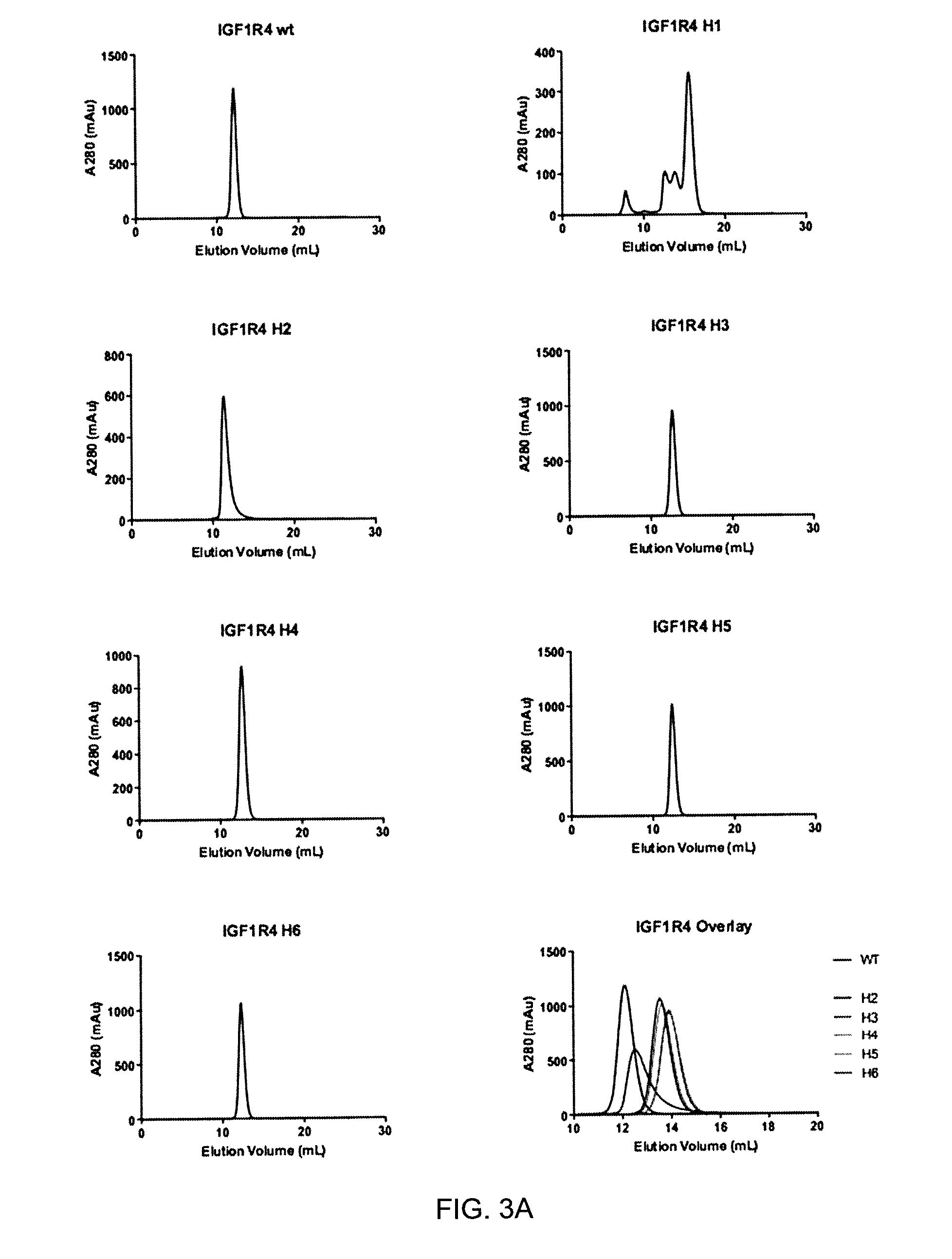 Insulin-like growth factor 1 receptor -specific antibodies and uses thereof