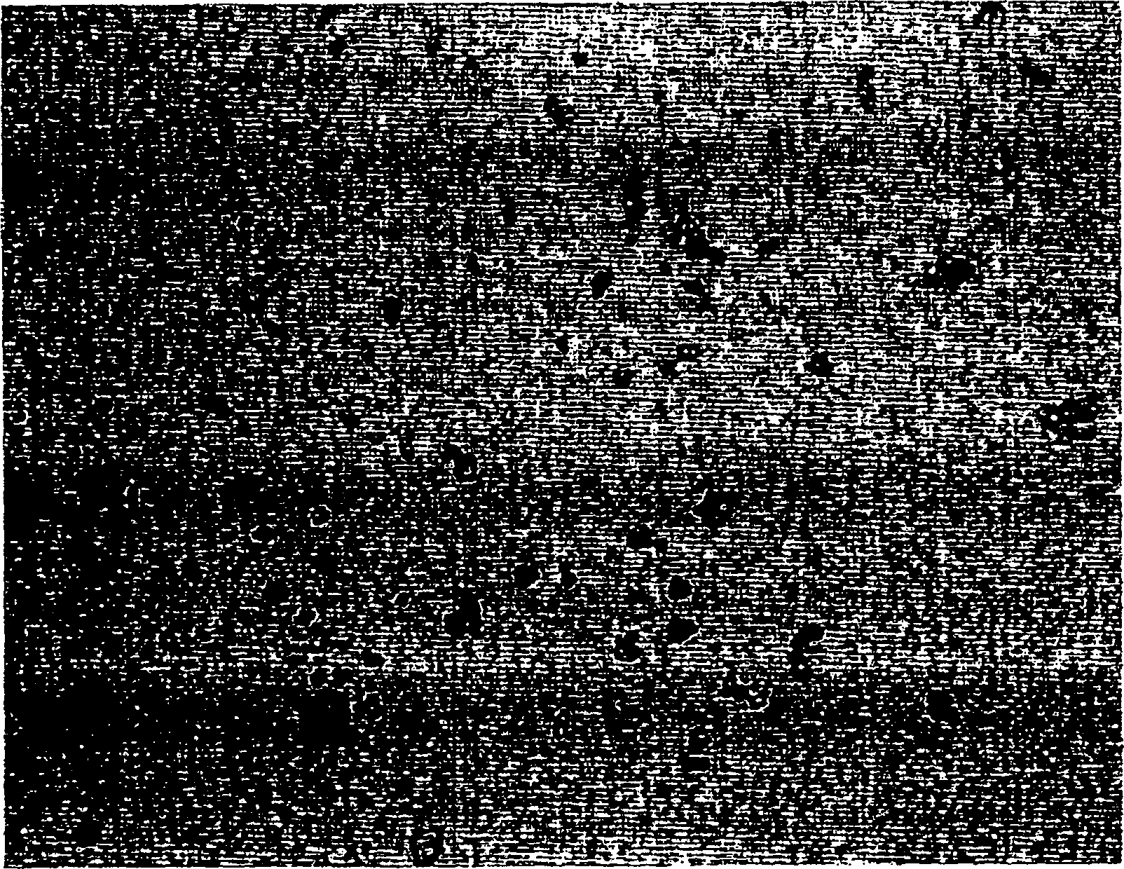 Sputtering target transparent conductive oxide, and method for preparing sputtering target