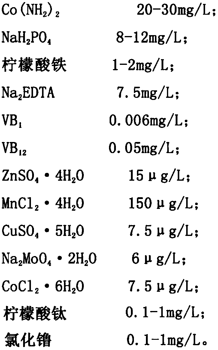 A kind of culture medium of purple coccus