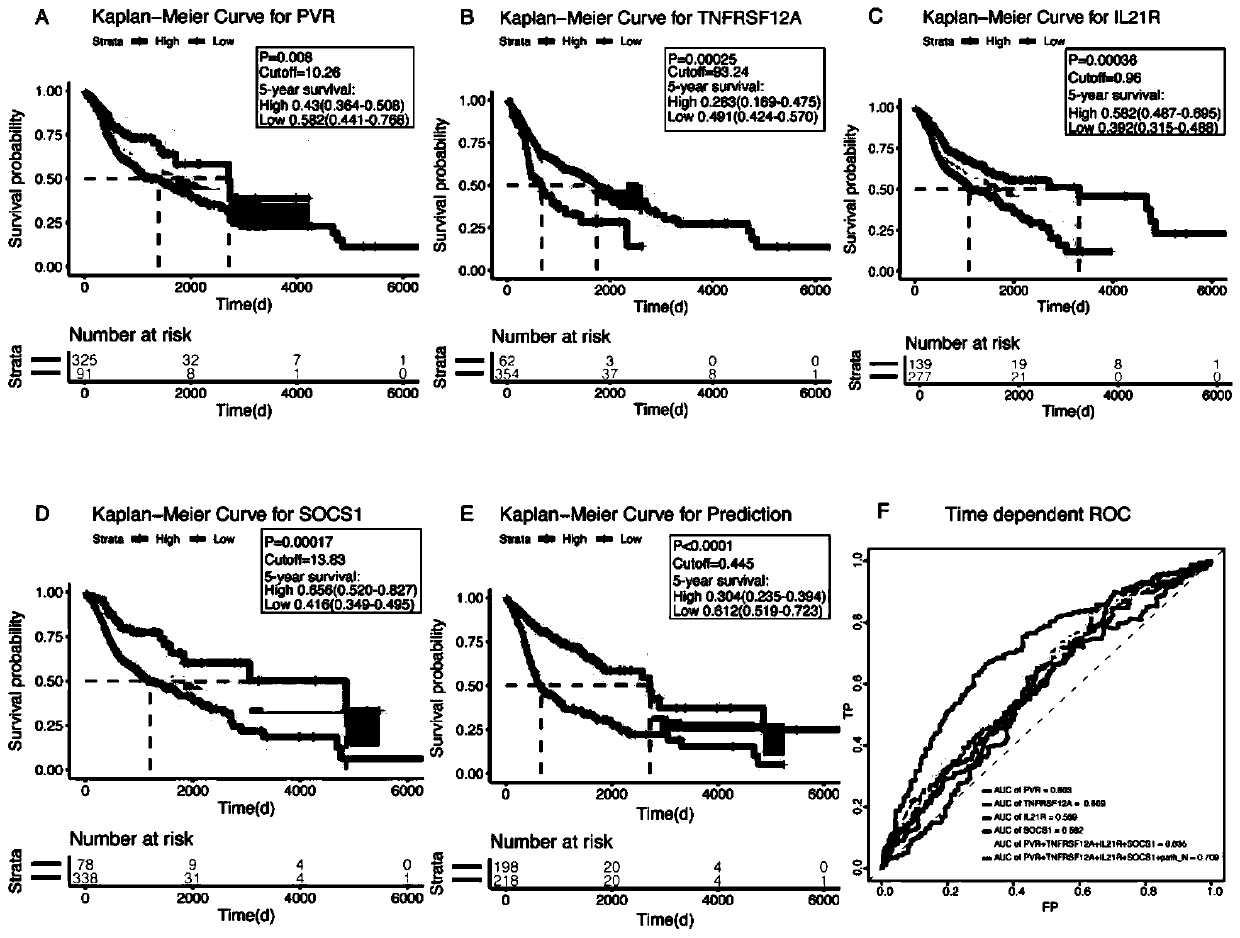 Immunity-related biomarker and application of biomarker to prognosis diagnosis of head and neck squamous cell carcinoma