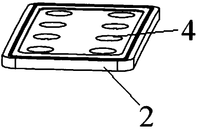 Suction cup fixing structure and suction cup fixing method