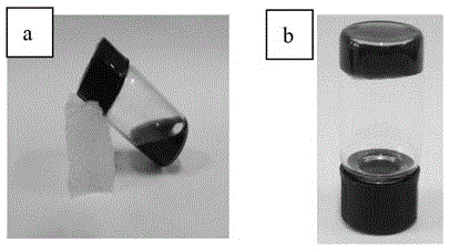 Rhein supramolecular hydrogel as well as preparation method and application thereof