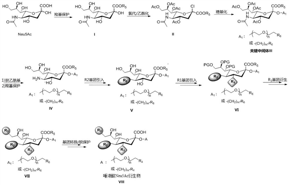 Sialic acid Neu5Ac derivative as well as preparation method and application thereof