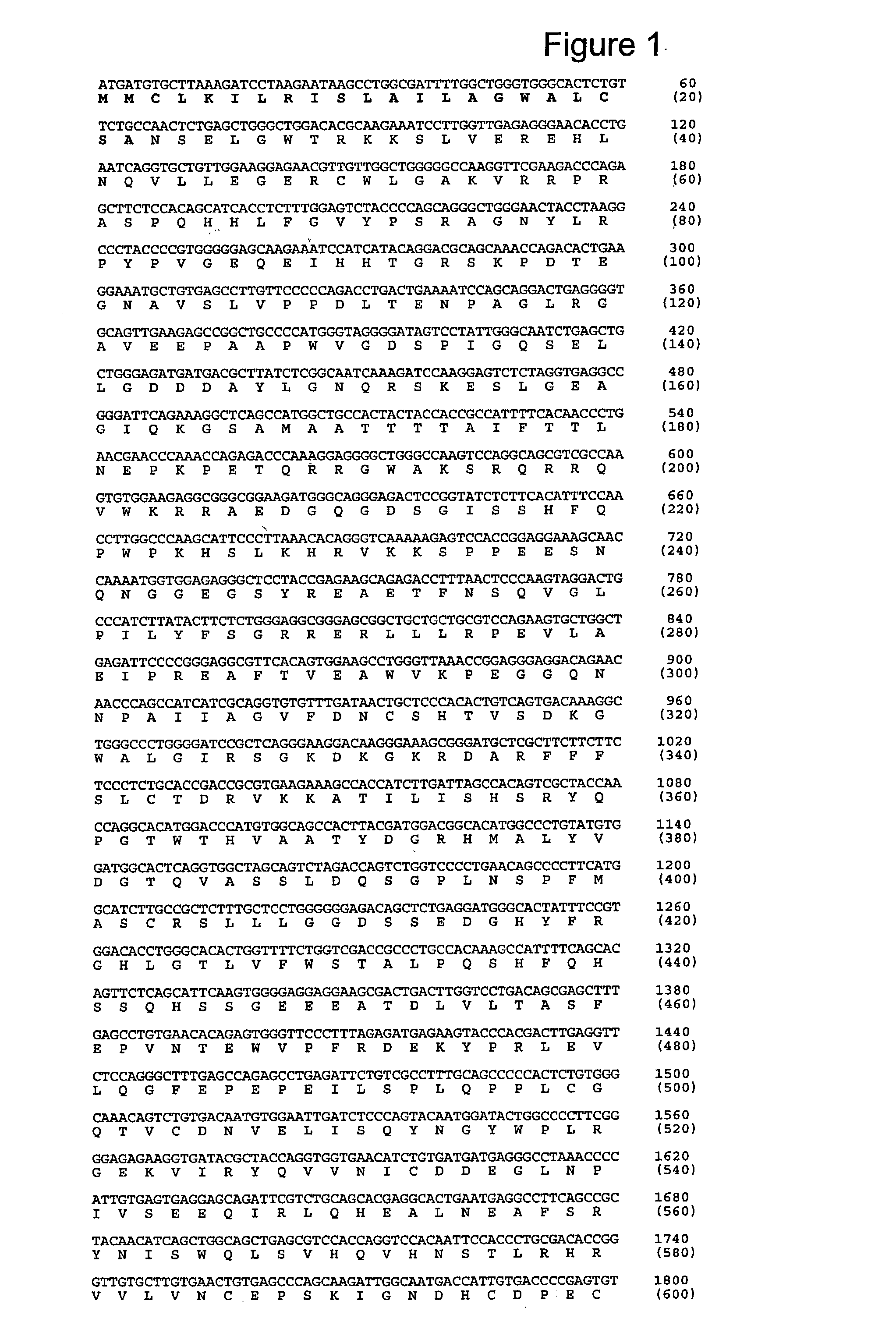 Pregnancy-associated plasma protein-A2 (PAPP-A2)