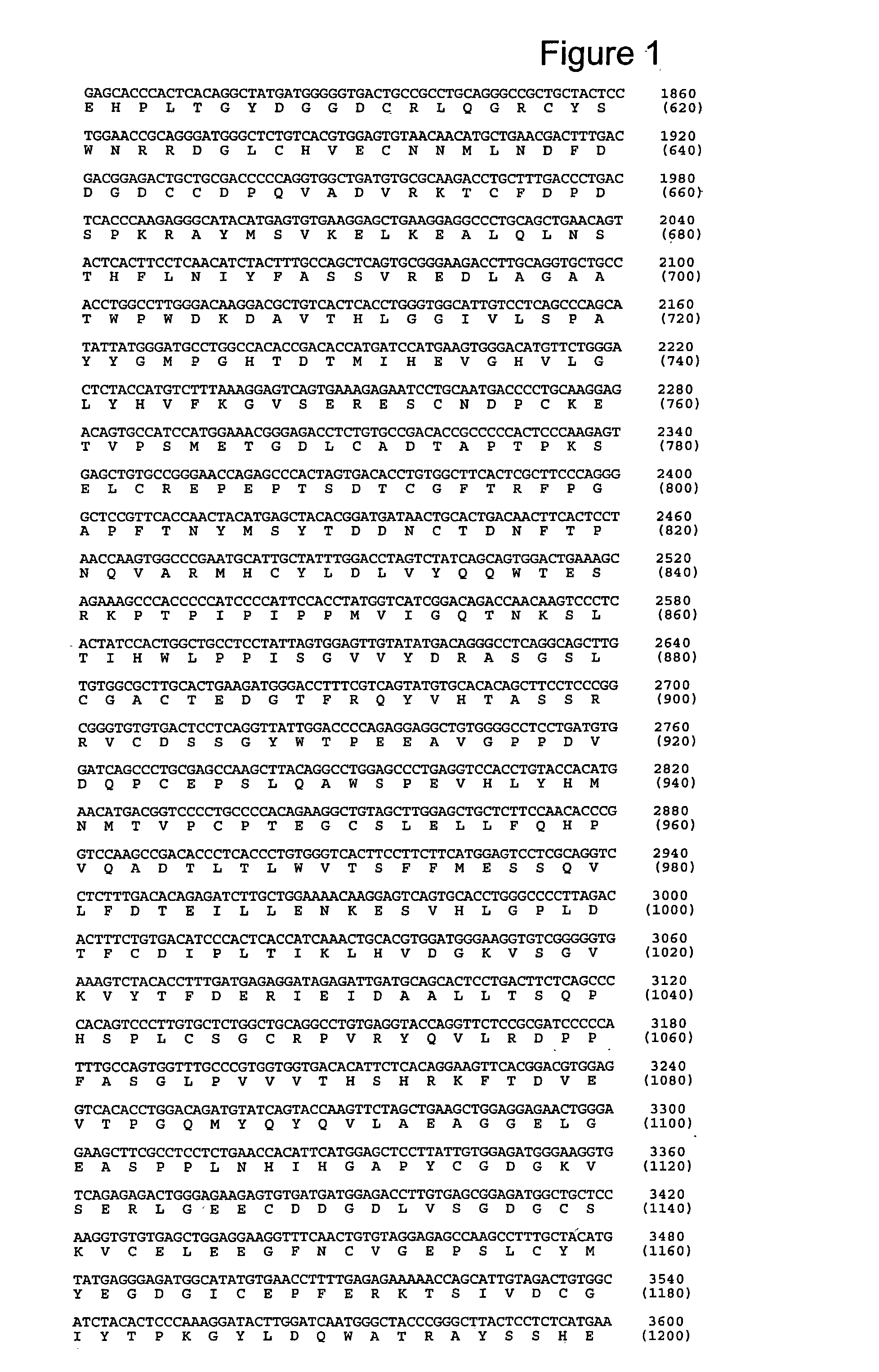 Pregnancy-associated plasma protein-A2 (PAPP-A2)