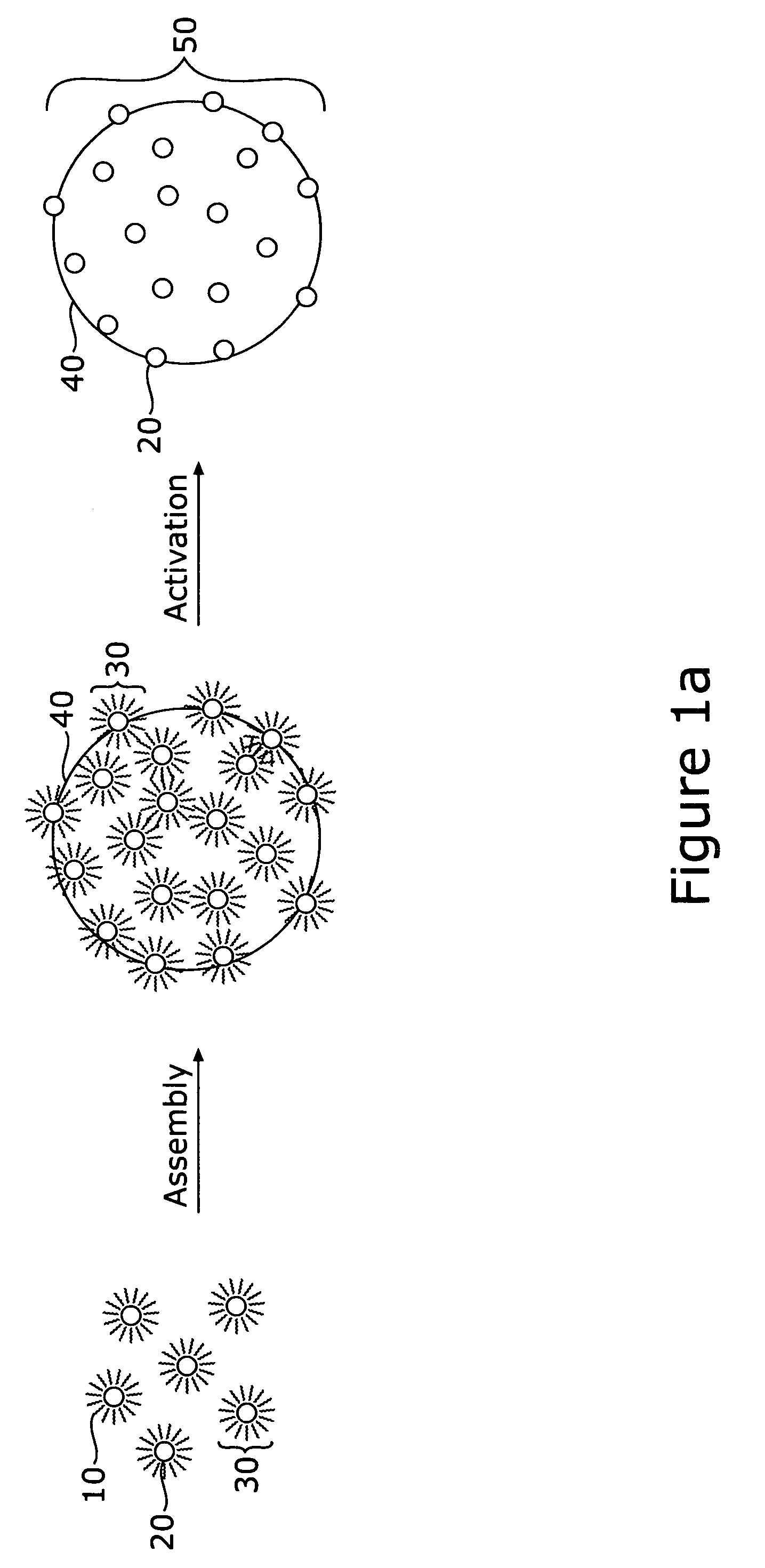 Gold-based alloy nanoparticles for use in fuel cell catalysts