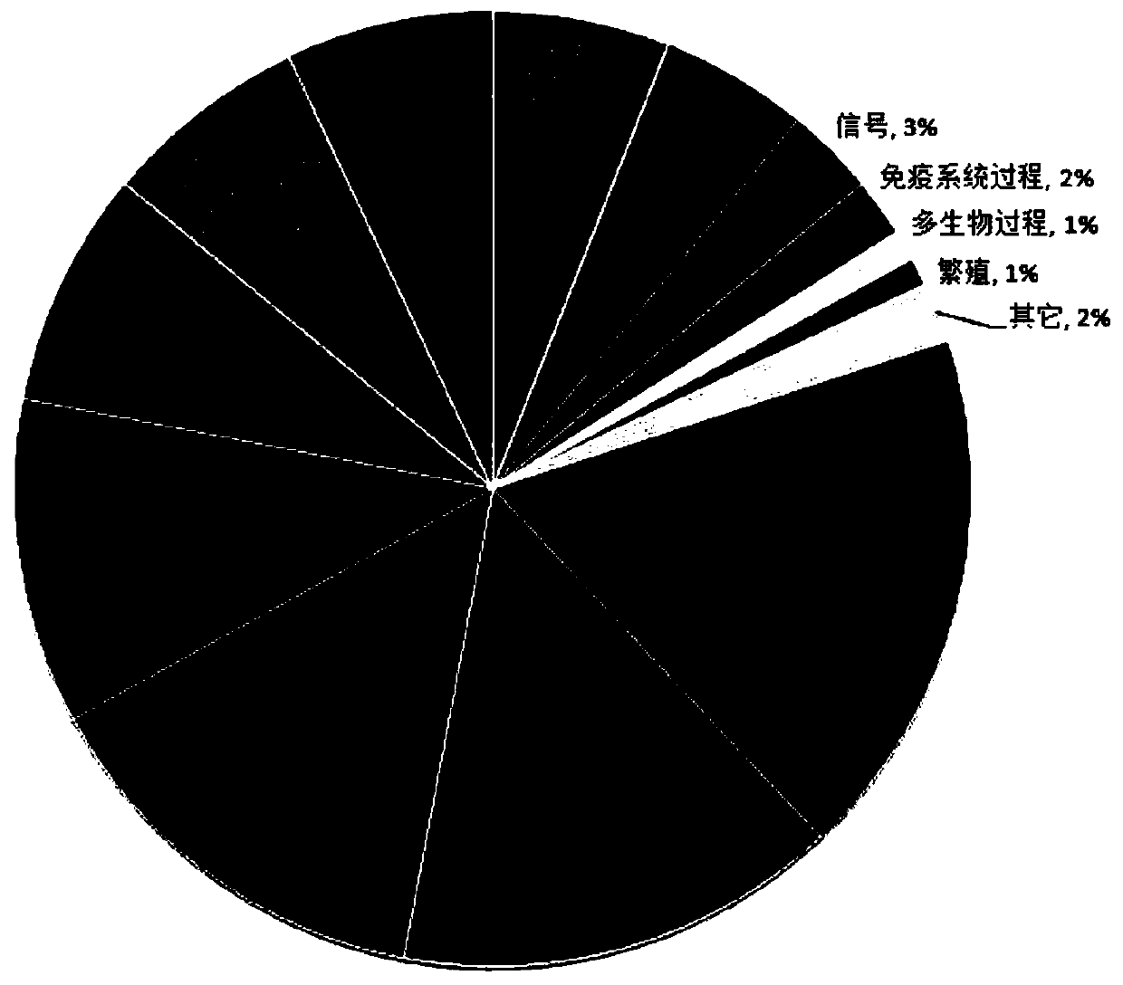 Application of succinylation-related preparations for regulation of mitochondrion OCR