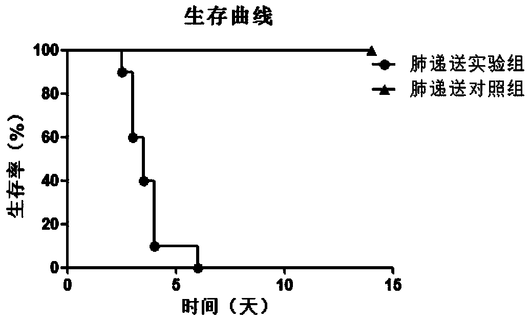 Infected mouse model for lung delivery through liquid aerosol with plague bacilli