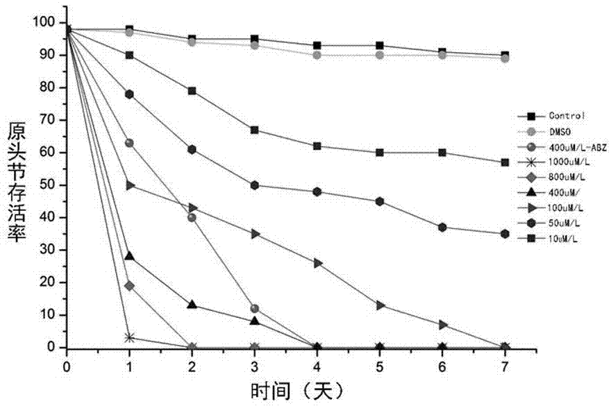 Application of apatinib serving as medicine for treating echinococcosis