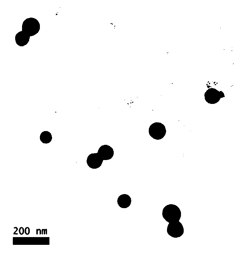 Active targeting anti-brain tumor drug and preparation method thereof