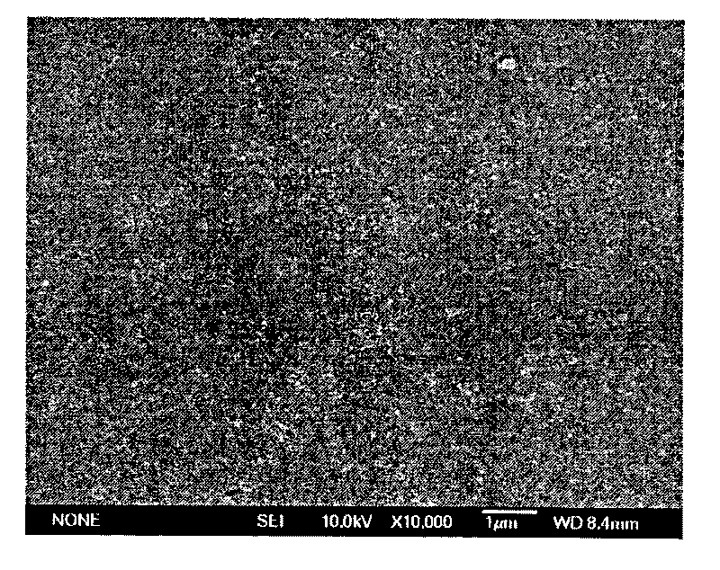 Method for preparing Ti -Si molecular sieve membrane by microwave radiating heating