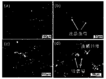 Method for analyzing pore structure of organic matter in Lower Paleozoic shale