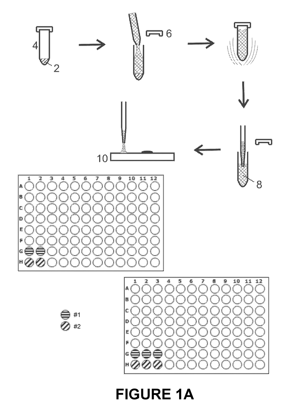 Microbial test standard for use in infrared spectrometry