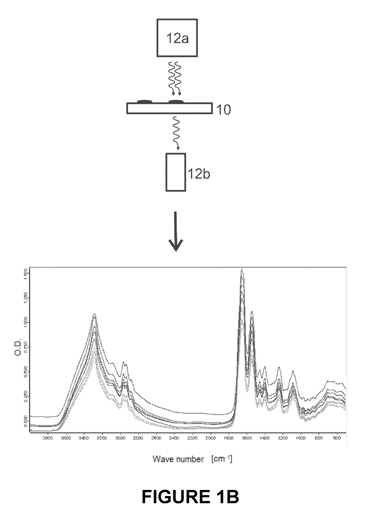 Microbial test standard for use in infrared spectrometry