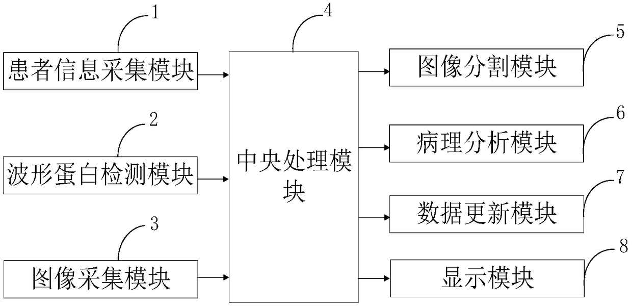 Renal carcinoma case digital information management system and method, and terminal