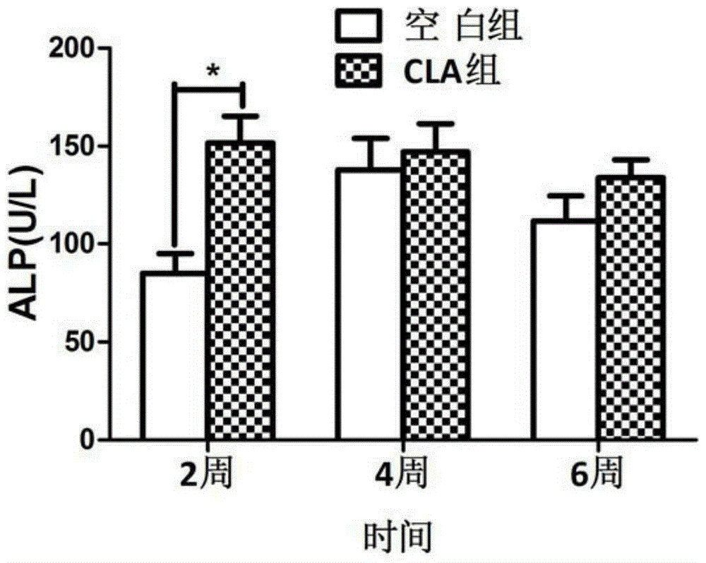 New application of conjugated linoleic acid to promotion of fracture healing