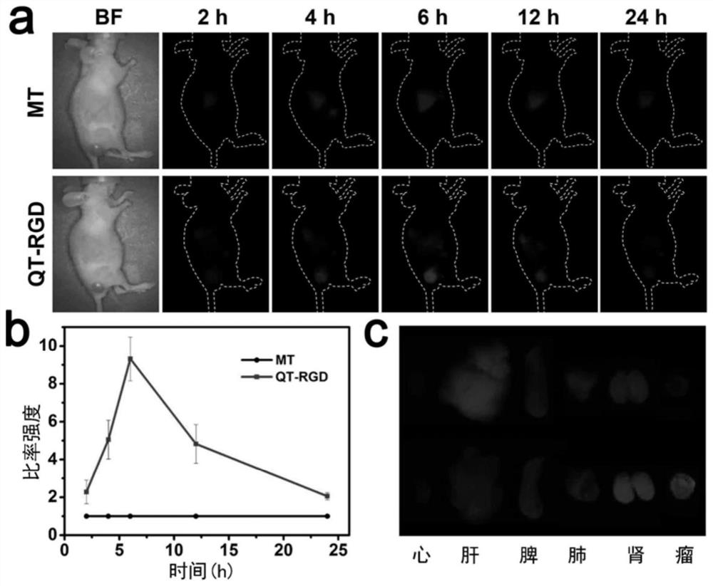 High stability near-infrared second region small molecule fluorescent probe and its preparation method and application