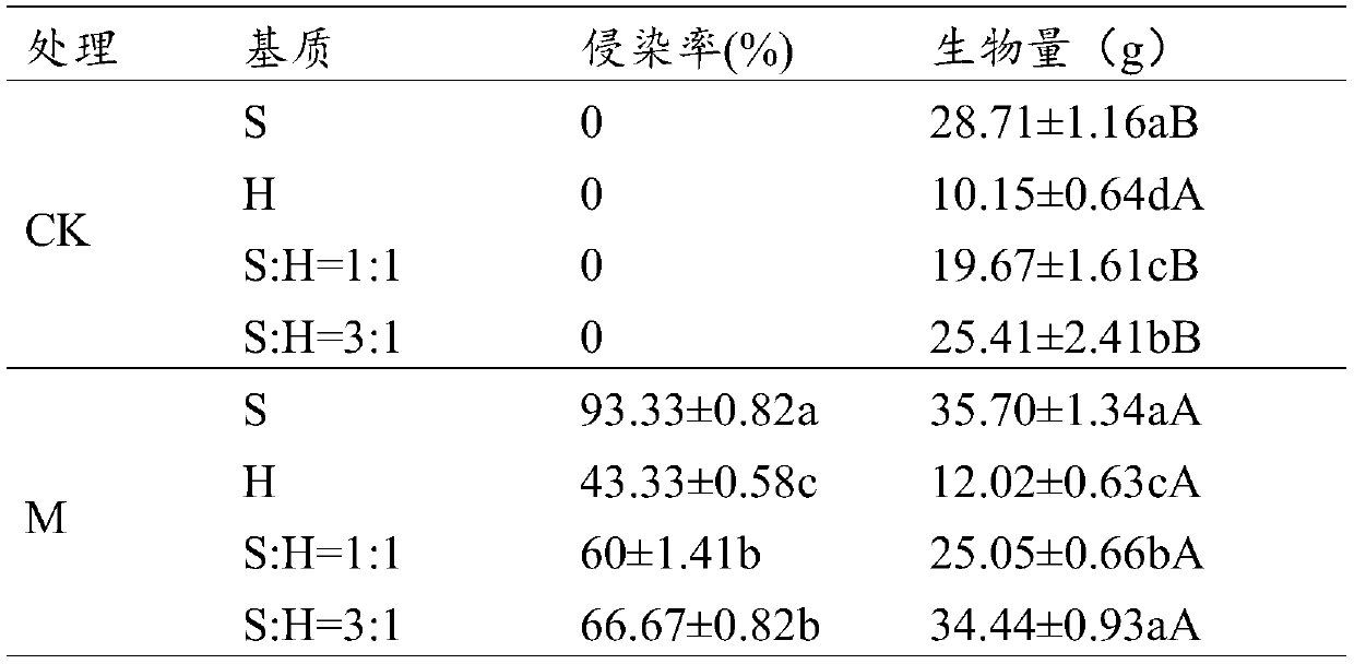 Method for improving compacted yellow clay in open waste dump