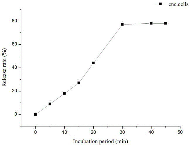 Probiotics microcapsule and preparation method thereof