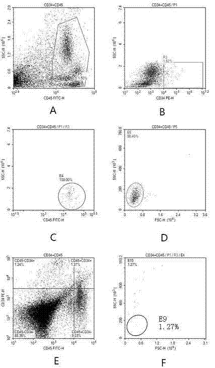 Method for extracting and cryopreserving hematopoietic stem cells taking placenta as source