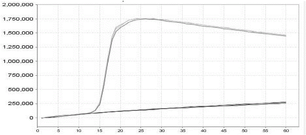 Primer combination capable of identifying enterovirus type 71 and application of primer combination