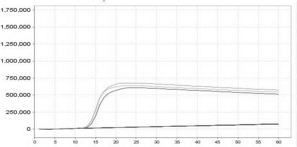 Primer combination capable of identifying enterovirus type 71 and application of primer combination