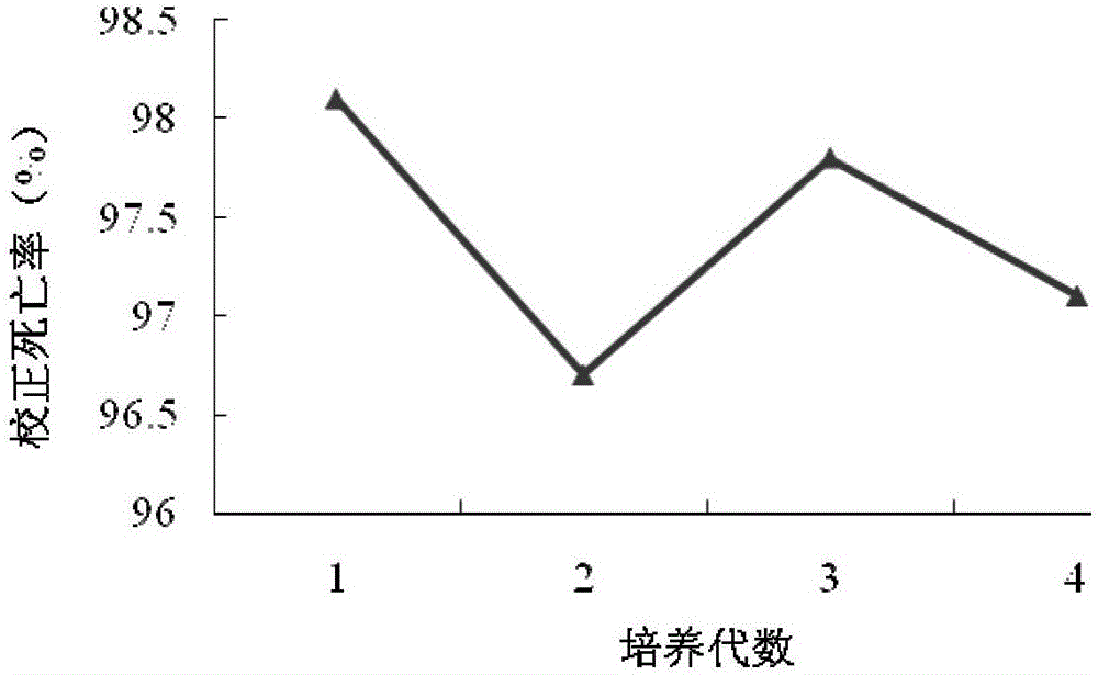 Bacillus endophyticus from anti-nematode variety and application of bacillus endophyticus